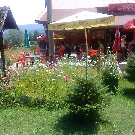 Hotell Park Rodopi